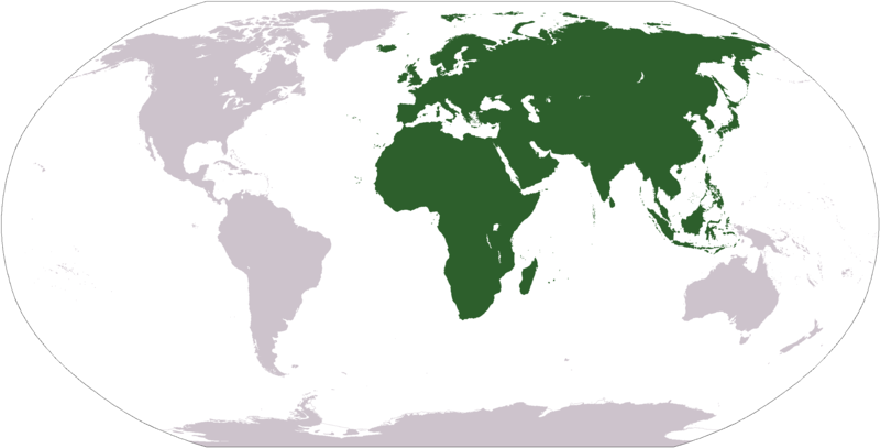 File:LocationAfricaEurasia.png