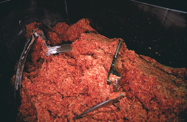 File:Ground beef USDA.jpg