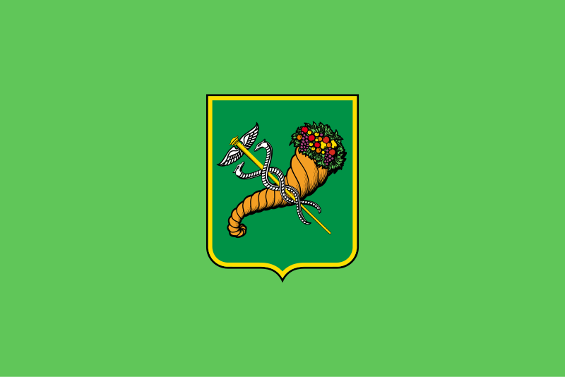 File:Kharkiv-town-flag.svg