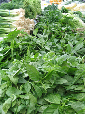 File:Herbs.jpg