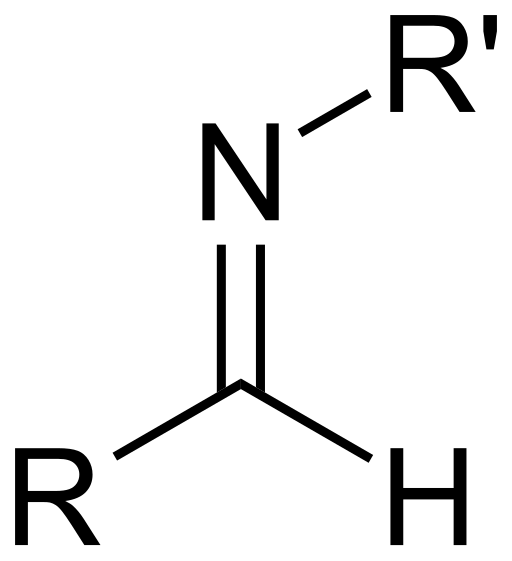 File:Aldimine-(secondary)-skeletal.svg