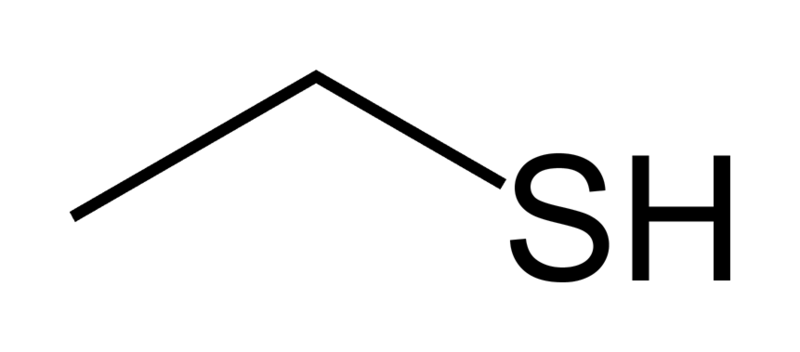 File:Ethanethiol-skeletal.png