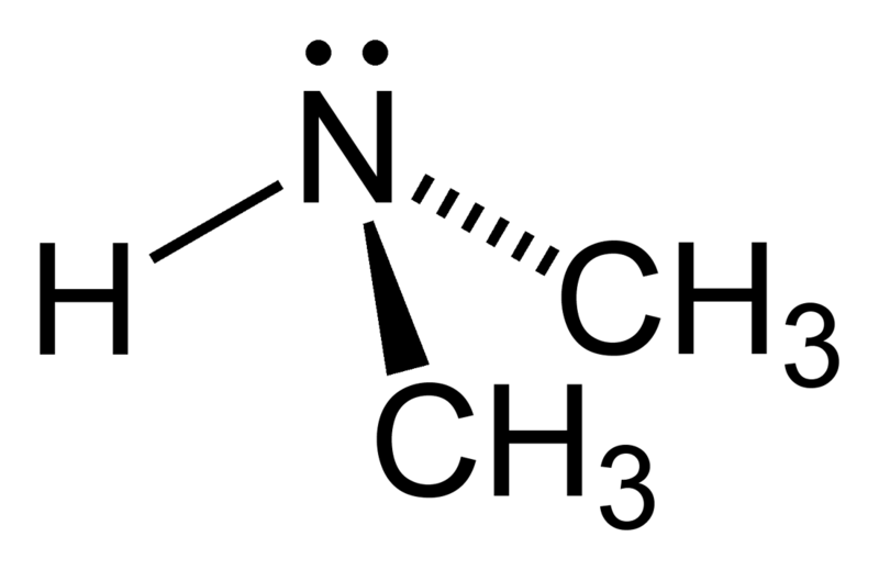 File:Dimethylamine-2D.png