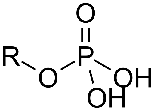 File:Phosphate-group.svg