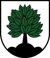 File:Wappen at elbigenalp.png