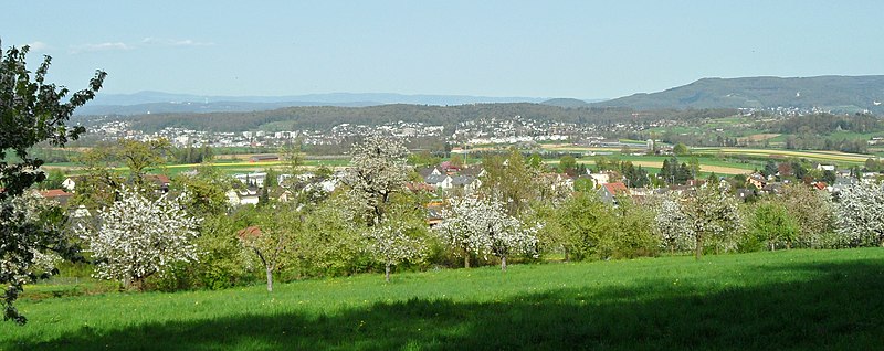 File:Witterswil1.jpg