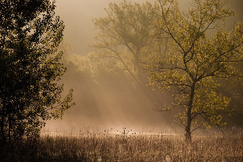 File:Cartigny - Moulin-de-Vert - Sunrise.jpg