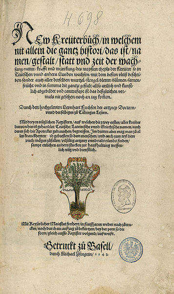 File:Leonhart Fuchs Kreüterbuch 1543.jpg