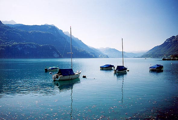 File:Brienzersee.jpg