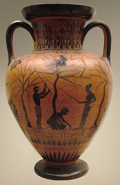 File:Amphora olive-gathering BM B226.jpg