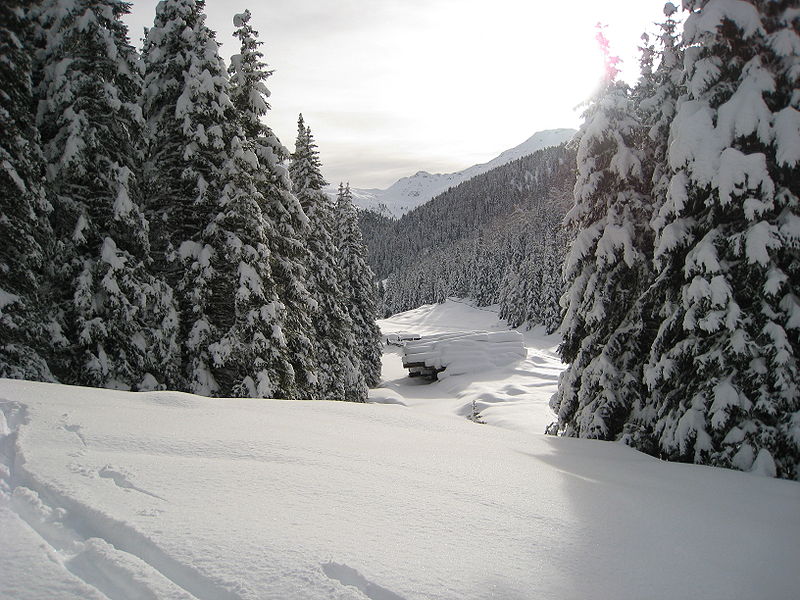 File:Frischer neuschnee.jpg