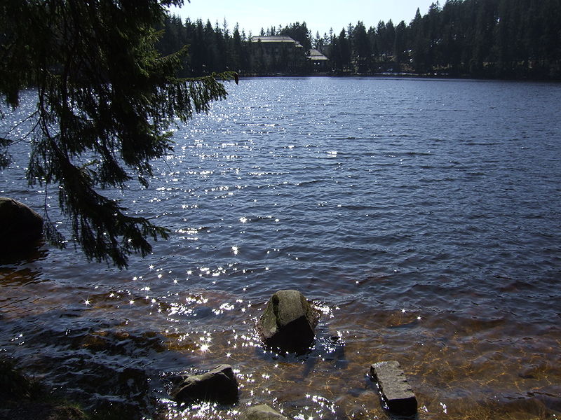 File:Mummelsee und Hotel.jpg