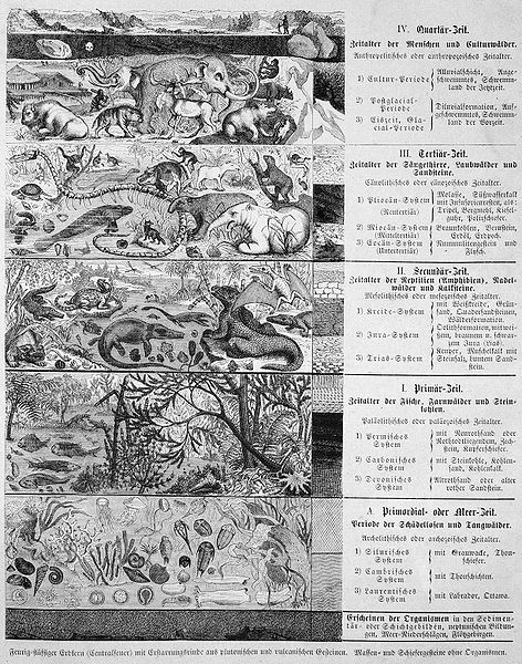 File:Die Gartenlaube (1872) b 153.jpg