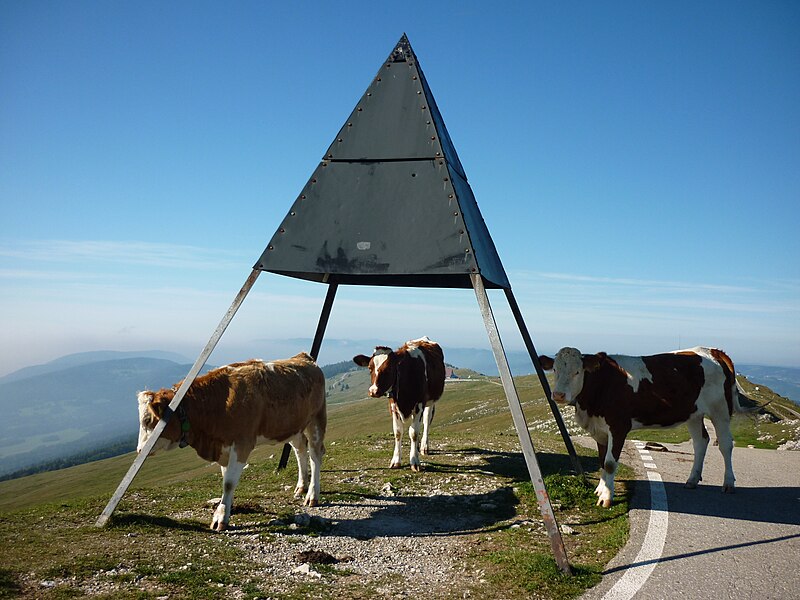 File:Chasseral Triangulationspunkt.jpg