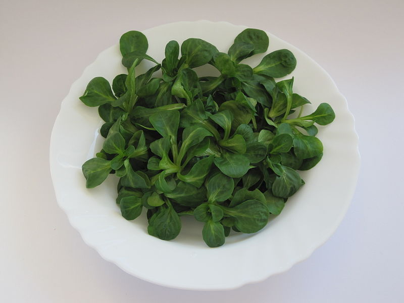 File:Ackersalat02.jpg