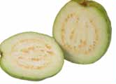 File:Guava CDC.jpg