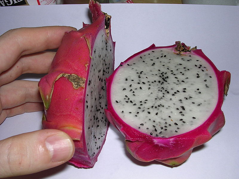 File:Pitahaya-oliv.jpg