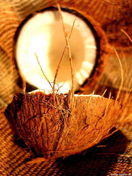 File:Coconut art 06.jpg