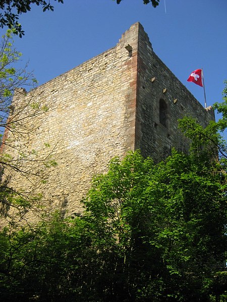 File:2010-05-23 Wartenberg (Muttenz) Mittlere Burg.jpg