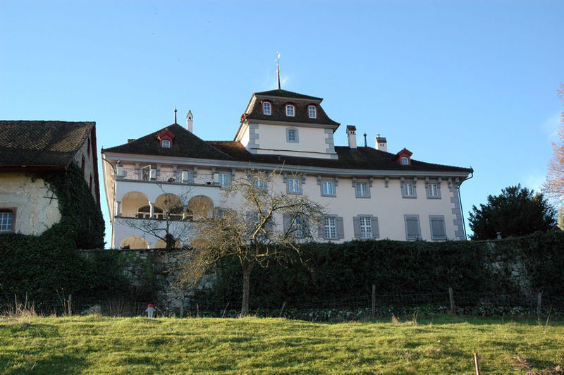 File:Schloss Hilfikon.jpg