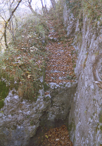 File:Bärenfels-Treppe-2.jpg