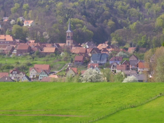 File:Offwiller vue depuis champs.jpg