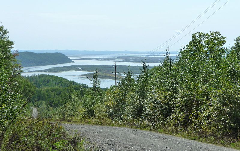 File:Amur.jpg