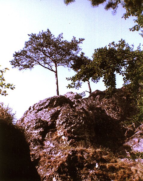 File:Neu-Blumberg Burgfelsen.jpg