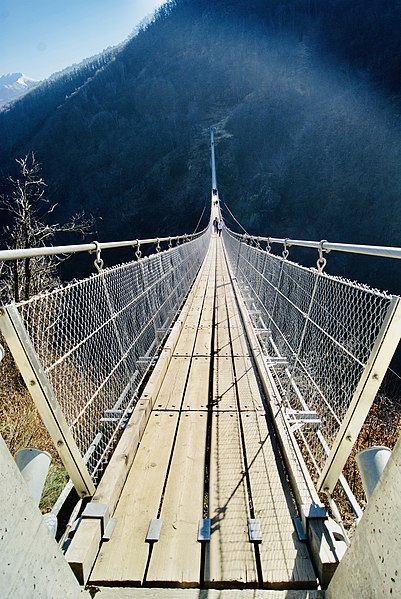 File:Suspended bridge.jpg