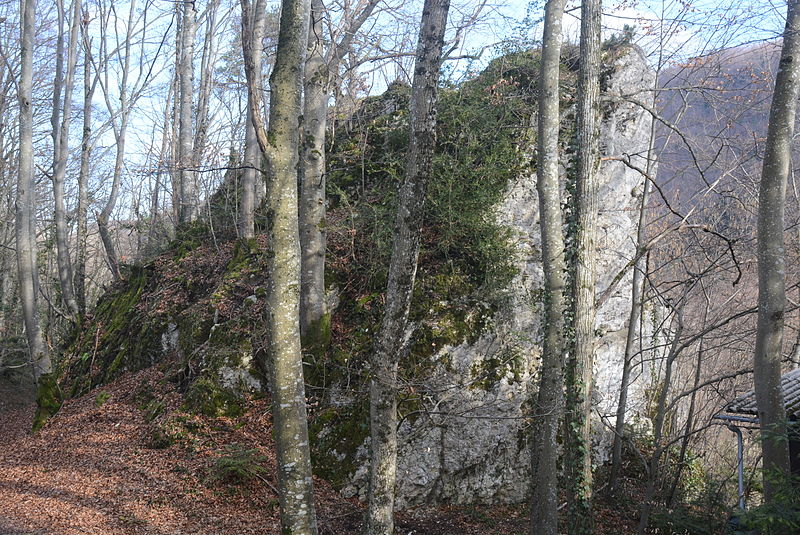 File:Burg im Leimental - Alt Biederthal 2014.jpg