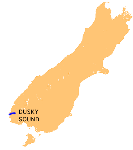 File:NZ-Dusky S.png