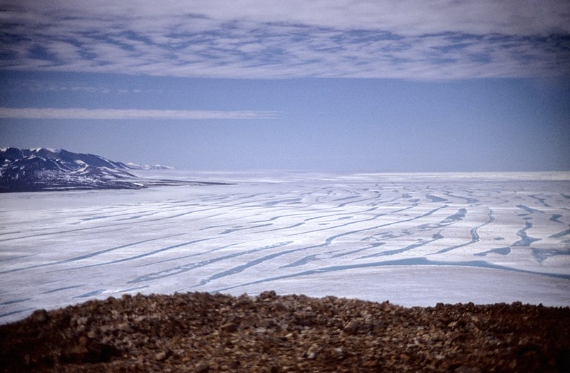 File:Ward Hunt Island, Ice Shelf 02.jpg