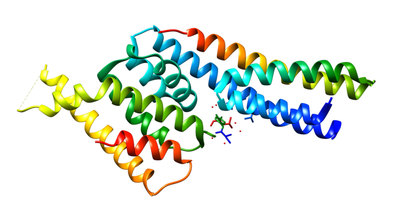 File:ASPM protein.png