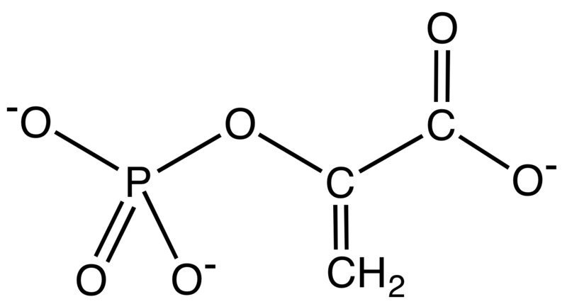 File:PhosphoenolpyruvateChemDr.png