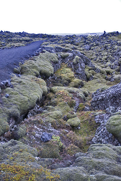 File:The blue Lagoon, Iceland (5454149170).jpg