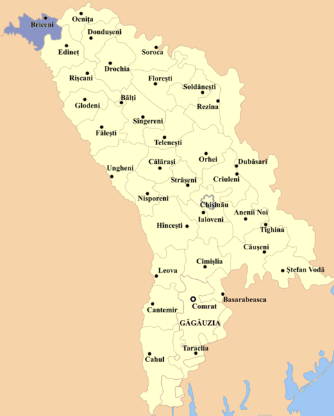 File:Briceni county.png