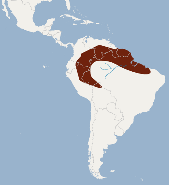 File:Distribution of Lophostoma carrikeri.png