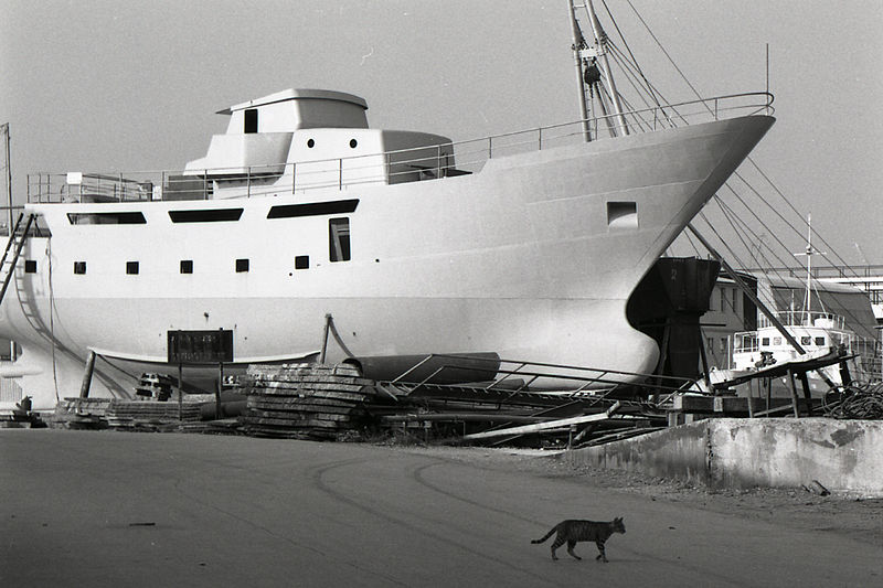 File:Paolo Monti - Serie fotografica (Ancona, 1969) - BEIC 6354376.jpg