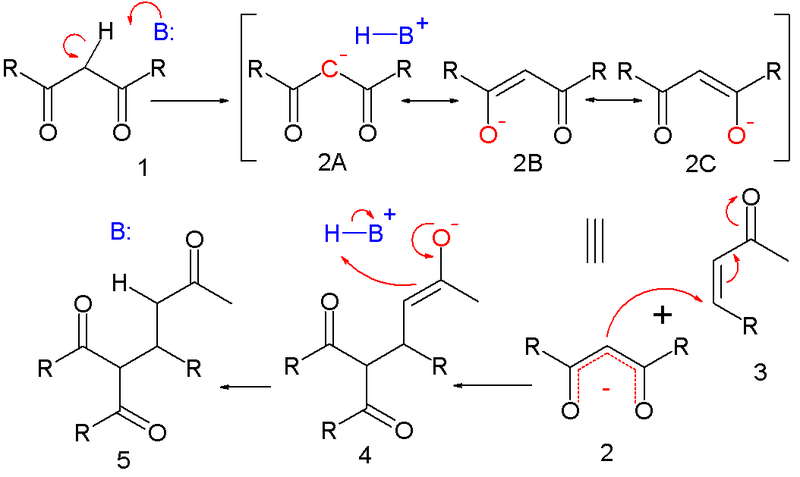 File:Michael Reaction Mechanism.png