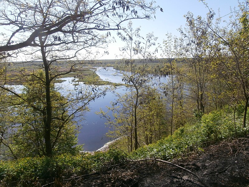 File:Iput River at Duby Cemetery in Dobrush 6 May 2014.jpg