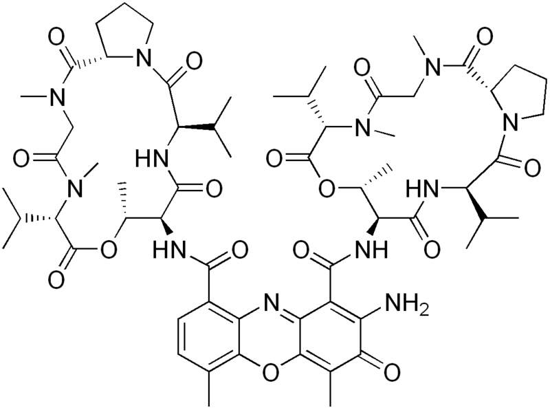 File:Actinomycin D.png