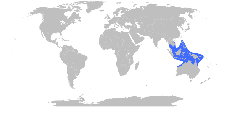 File:Chironex fleckeri Range Map.svg