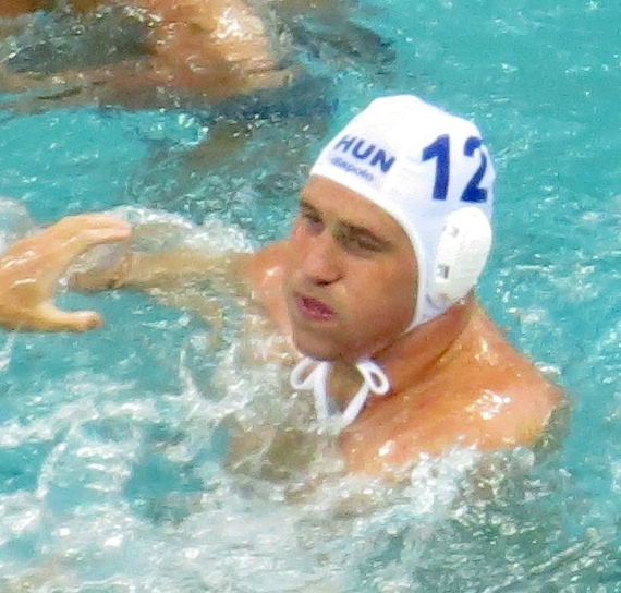 File:Balázs Hárai Rio2016.jpg