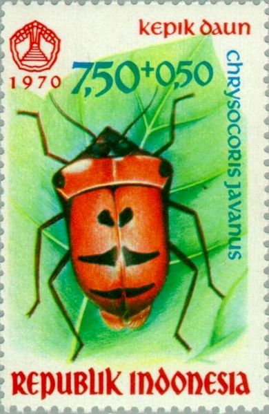 File:Chrysocoris javanus 1970 Indonesia stamp.jpg