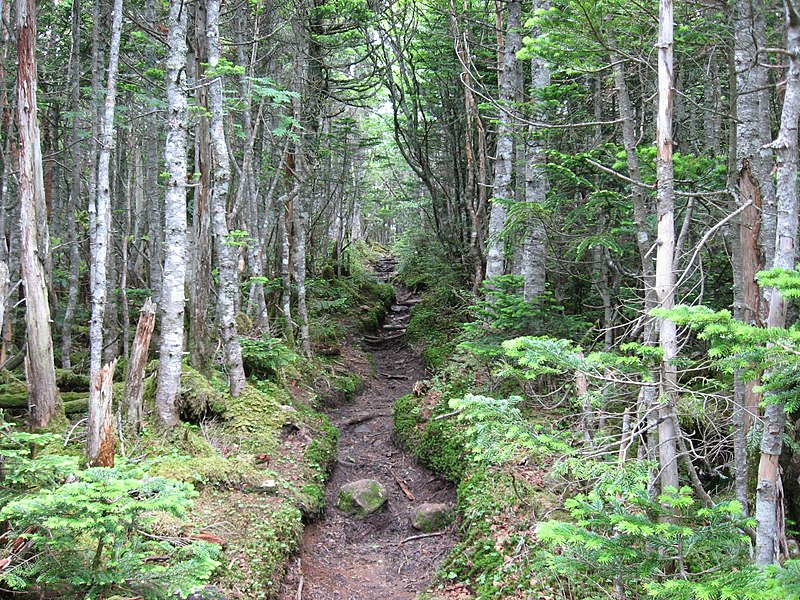 File:Mt.Tokusa-tozandou.jpg