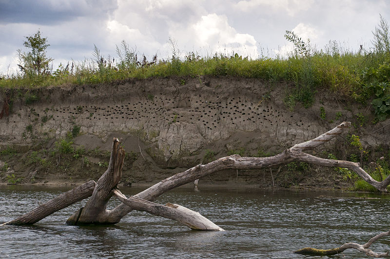 File:Сеймское общежитие.jpg