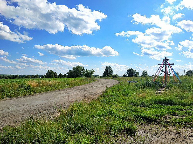 File:Дорога на с. Вищі Вовківці, фото 4.jpg