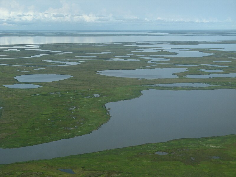 File:Alaska -tundra landscape-11Aug2008.jpg