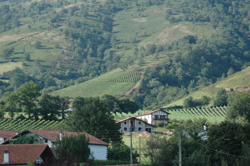 File:Irouleguy Vignoble.jpg