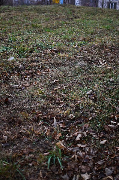 File:Scythian barrow in Khmelnytskyi. Photo 7.jpg